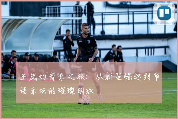 王岚的音乐之旅：从新星崛起到华语乐坛的璀璨明珠
