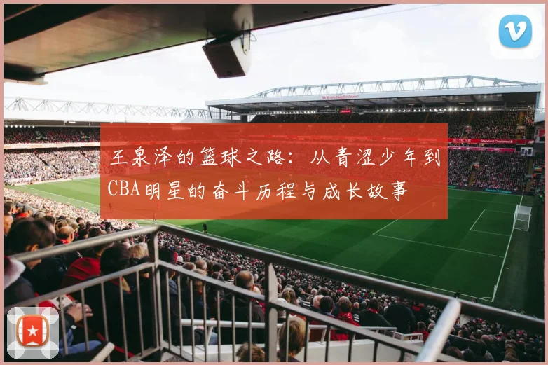 王泉泽的篮球之路：从青涩少年到CBA明星的奋斗历程与成长故事