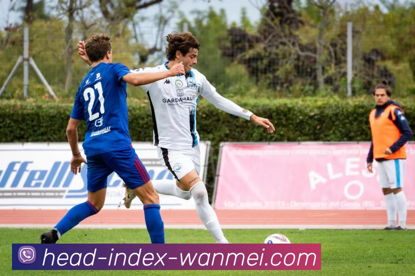 完美体育全站App